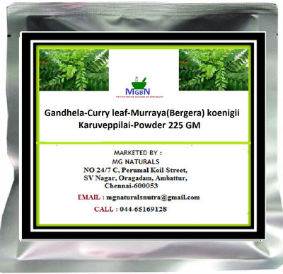 

MGBN Gandhela-Curry leaf-Murraya(Bergera) koenigii-Karuveppilai-Powder 225 GM(225 g)