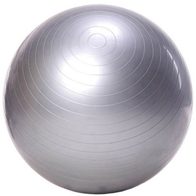 

GOCART Exercise Ball Yoga Ball - Burst Resistant Fitness Balls, 65cm, Ideal for Yoga Pilaties Abs and Core Workouts gray Gym Ball, Grey