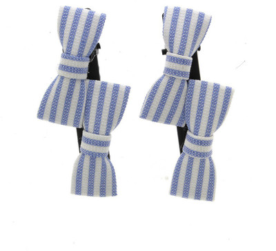 

Anuradha Art Jewellery Side Pin Tic Tac Clip(White, Blue)