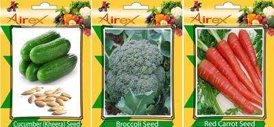 Airex Cucumber, Red Carrot and Broccoli Vegetables Seed (Pack Of 15 Seed Cucumber + 15 Red Carrot + 15 Broccoli Seed) Seed(15 per packet)