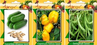 Airex Cucumber, Semphali and Capsicum Yellow Vegetables Seed (Pack Of 15 Seed Cucumber + 15 Semphali + 15 Capsicum Yellow Seed) Seed(15 per packet) Airex Cucumber, Semphali and Capsicum Yellow Vegetables Seed (Pack Of 15 Seed Cucumber + 15 Semphali + 15 Capsicum Yellow Seed) Seed(15 per packet)