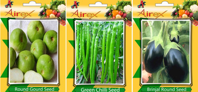 Airex Round Gourd, Green Chilli and Brinjal Round Vegetables Seed (Pack Of 20 Seed Round Gourd + 20 Green Chilli + 20 Brinjal Round Seed) Seed(20 per packet)
