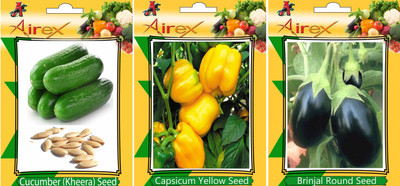 Airex Cucumber, Brinjal Round and Capsicum Yellow Vegetables Seed (Pack Of 25 Seed Cucumber + 25 Brinjal Round+ 25 Capsicum Yellow Seed) Seed(25 per packet) Airex Cucumber, Brinjal Round and Capsicum Yellow Vegetables Seed (Pack Of 25 Seed Cucumber + 25 Brinjal Round+ 25 Capsicum Yellow Seed) Seed(25 per packet)