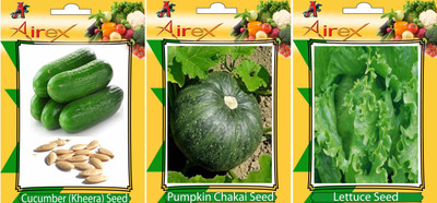 Airex Cucumber, Lettuce and Pumpkin Vegetables Seed (Pack Of 20 Seed Cucumber + 20 Lettuce + 20 Pumpkin Seed) Seed(20 per packet) Airex Cucumber, Lettuce and Pumpkin Vegetables Seed (Pack Of 20 Seed Cucumber + 20 Lettuce + 20 Pumpkin Seed) Seed(20 per packet)