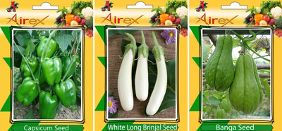 

Airex Capsicum, White Long Brinjal and Banga Vegetables Seed (Pack Of 15 Seed Capsicum + 15 White Long Brinjal + 15 Banga Seed) Seed(15 per packet)