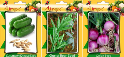 Airex Cucumber, Onion and Cluster Bean Vegetables Seed (Pack Of 15 Seed Cucumber + 15 Onion + 15 Cluster Bean Seed) Seed(15 per packet) Airex Cucumber, Onion and Cluster Bean Vegetables Seed (Pack Of 15 Seed Cucumber + 15 Onion + 15 Cluster Bean Seed) Seed(15 per packet)