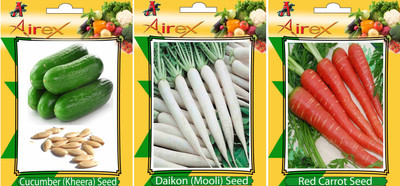 Airex Cucumber, Red Carrot and Radish Vegetables Seed (Pack Of 15 Seed Cucumber + 15 Red Carrot + 15 Radish Seed) Seed(15 per packet) Airex Cucumber, Red Carrot and Radish Vegetables Seed (Pack Of 15 Seed Cucumber + 15 Red Carrot + 15 Radish Seed) Seed(15 per packet)