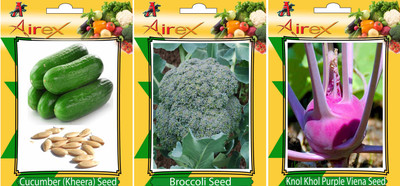 Airex Cucumber, Knol Khol Purple Viena and Broccoli Vegetables Seed (Pack Of 20 Seed Cucumber + 20 Knol Khol Purple Viena + 20 Broccoli Seed) Seed(20 per packet)