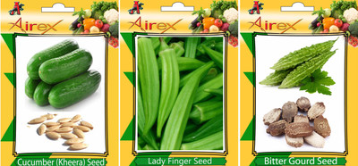 

Airex Cucumber, Bitter Gourd and Lady Finger Vegetables Seed (Pack Of 15 Seed Cucumber + 15 Bitter Gourd + 15 Lady Finger Seed) Seed(15 per packet)