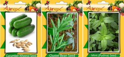 Airex Cucumber, Mint Pudina) and Cluster Bean Vegetables Seed (Pack Of 15 Seed Cucumber + 15 Mint Pudina) + 15 Cluster Bean Seed) Seed(15 per packet) Airex Cucumber, Mint Pudina) and Cluster Bean Vegetables Seed (Pack Of 15 Seed Cucumber + 15 Mint Pudina) + 15 Cluster Bean Seed) Seed(15 per packet)