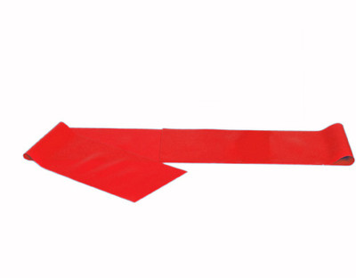 

Faiydashop Resistance Thera-Band for increasing bone strength as well as muscle growth Resistance Tube(Red)