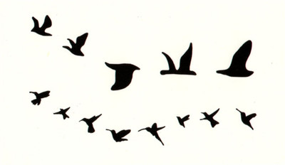

Yashvi Traders Yashvi Traders Sexy Stickers Tattoos for Women and Men(Bird)
