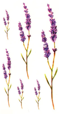 

Yashvi Traders Yashvi Traders Temporary body Tattoo For Girls Men Women(Flower)