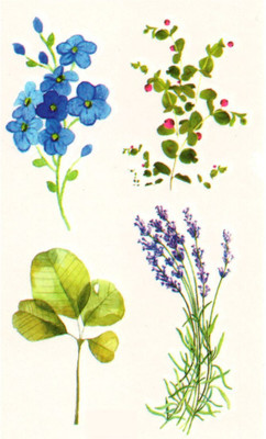 

Yashvi Traders Yashvi Traders Fashion Body Art Decoration Tattoo Waterproof Temporary Tattoo Stickers(Flower)