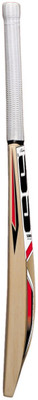 

SS Master Kashmir Willow Cricket Bat(900-1100 kg