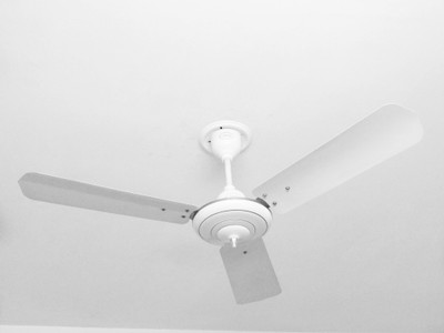 

Cinni 48" Regular Ceiling Fan 3 Blade Ceiling Fan(White, Pack of 1)