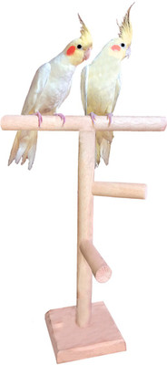 

Sage Square 13 Inches / 33 cm Natural Wood Training cum Exercise 2 Stairs Playful Perch Bird Stand / Bird Toy Wooden Training Aid, Stick For Bird