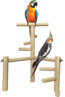 

Sage Square Jumbo 16 Inches / 40.5 cm Two levels Training Gym cum Exercise Stand with 6 Stairs Natural Wood Playful Perch Bird Stand / Bird Toy Wooden Training Aid, Stick For Bird