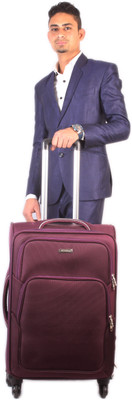 

Vision four wheel trolley Expandable Check-in Luggage -  inch(Purple
