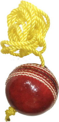 

Heega PRACTICE BALL FOR TRAINING Cricket Training Ball(Pack of 1, Red)