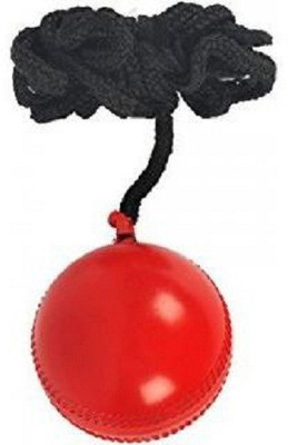 

Comex BALL Cricket Training Ball(Pack of 1, Red)