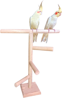 

Anokhe Collections 16 Inches / 41 cm Natural Wood 3 Stairs Playful Perch Bird Stand / Toy Wooden Training Aid For Bird