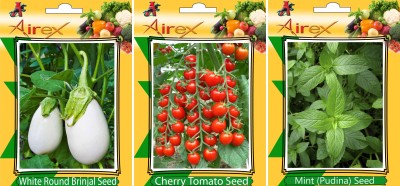 Airex White Round Brinjal, Mint (Pudina) and Cherry Tomato Vegetables Seed (Pack Of 20 Seed White Round Brinjal + 20 Mint (Pudina) + 20 Cherry Tomato Seed) Seed(20 per packet)