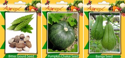 Airex Bitter Gourd, Banga, Pumpkin Vegetables Seed (Pack Of 20 Seed Bitter Gourd + 20 Banga + 20 Pumpkin Seed) Seed(20 per packet)