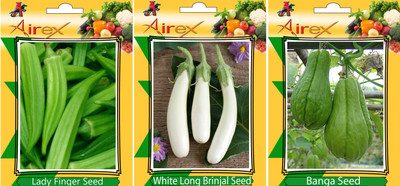 

Airex Lady Finger, Banga, White Long Brinjal Vegetables Seed + Humic Acid Fertilizer (For Growth of All Plant and Better Responce) 15 gm Humic Acid + Pack Of 30 Seed Lady Finger + 30 Banga + 30 White Long Brinjal Seed Seed(30 per packet)