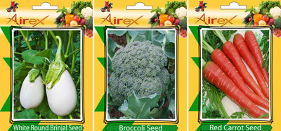 Airex White Round Brinjal, Red Carrot and Broccoli Vegetables Seed (Pack Of 15 Seed White Round Brinjal + 15 Red Carrot + 15 Broccoli Seed) Seed(15 per packet)