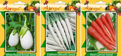 Airex White Round Brinjal, Red Carrot and Daikon Vegetables Seed (Pack Of 25 Seed White Round Brinjal + 25 Red Carrot + 25 Daikon Seed) Seed(25 per packet) Airex White Round Brinjal, Red Carrot and Daikon Vegetables Seed (Pack Of 25 Seed White Round Brinjal + 25 Red Carrot + 25 Daikon Seed) Seed(25 per packet)