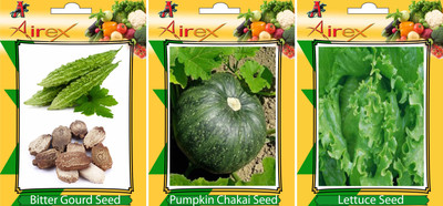 

Airex Bitter Gourd, Lettuce, Pumpkin Vegetables Seed (Pack Of 20 Seed Bitter Gourd + 20 Lettuce + 20 Pumpkin Seed) Seed(20 per packet)