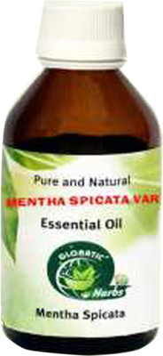 

Globatic Herbs MENTHA SPICATA VAR (30ml)-Menthaspicata Pure, Natural & Undiluted(30 ml)