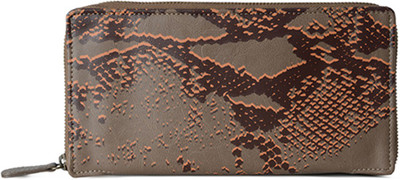 

Baggit Casual Brown Clutch