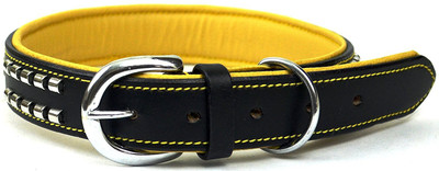 

Sollar's 100% Genuine Leather With Beautiful Studs & Soft Padded Dog Everyday Collar(, Black