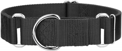 

Furious3D Dog Everyday Collar(, BLACK
