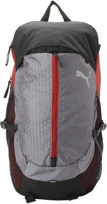 

Puma Organizer 23 L Backpack(Grey)