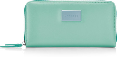 

Caprese Casual Blue Clutch