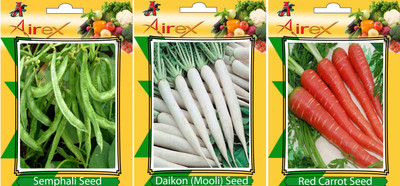 

Airex Semphali, Daikon, Red Carrot Vegetables Seed (Pack Of 15 Seed Semphali + 15 Daikon + 15 Red Carrot Seed) Seed(15 per packet)