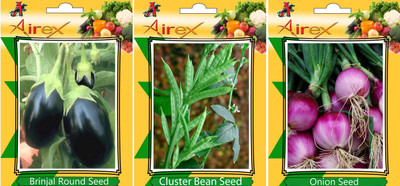 Airex Brinjal Round, Cluster Bean, Onion Vegetables Seed (Pack Of 25 Seed Brinjal Round + 25 Cluster Bean + 25 Onion Seed) Seed(25 per packet) Airex Brinjal Round, Cluster Bean, Onion Vegetables Seed (Pack Of 25 Seed Brinjal Round + 25 Cluster Bean + 25 Onion Seed) Seed(25 per packet)