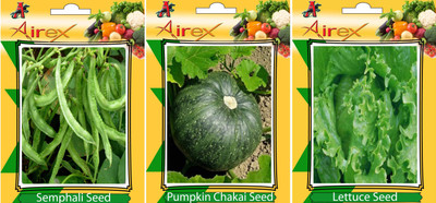 

Airex Semphali, Pumpkin, Lettuce Vegetables Seed (Pack Of 20 Seed Semphali + 20 Pumpkin + 20 Lettuce Seed) Seed(20 per packet)