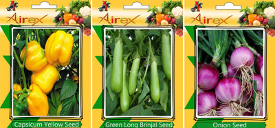 

Airex Capsicum Yellow, Onion, Green Long Brinjal Vegetables Seed (Pack Of 20 Seed Capsicum Yellow + 20 Onion + 20 Green Long Brinjal Seed) Seed(20 per packet)