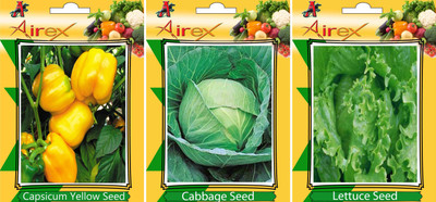 

Airex Capsicum Yellow, Lettuce, Cabbage Vegetables Seed (Pack Of 20 Seed Capsicum Yellow + 20 Lettuce + 20 Cabbage Seed) Seed(20 per packet)