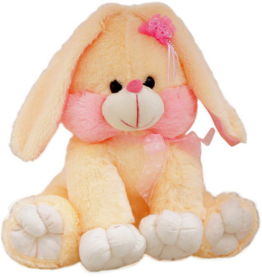 

Dream Shopping Network pnpsft057 - 14 inch(Multicolor)