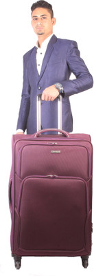 

Vision four wheel trolley Expandable Check-in Luggage -  inch(Purple