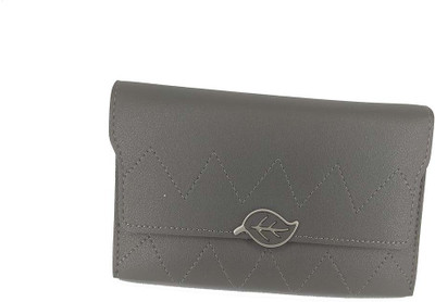 

BAEnagari Women Casual Grey Artificial Leather Wallet(4 Card Slots)