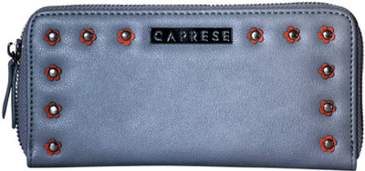 

Caprese Casual Blue Clutch