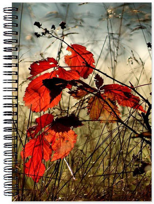

Little Jaipur A5 Note Book(Designer, Multicolor)