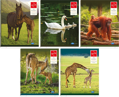 

Navneet Regular Notebook(Long Book, Multicolor, Pack of 5)