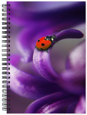 

Little Jaipur A5 Note Book(Designer, Multicolor)